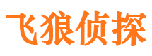 礼县市私家侦探